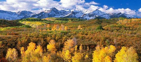 Colorado mountains and golden field